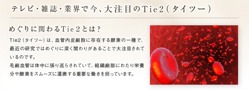 eyf^Cc[ӂT|[g߂ϏTCg